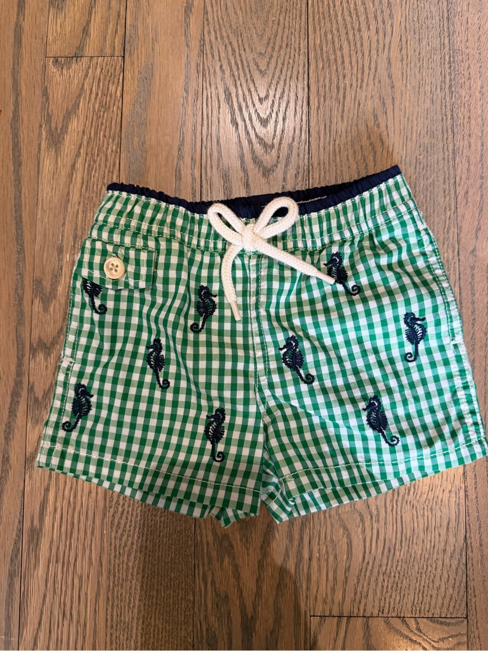 Ralph Lauren Green Gingham Swim Shorts with Navy Seahorse Embroidery